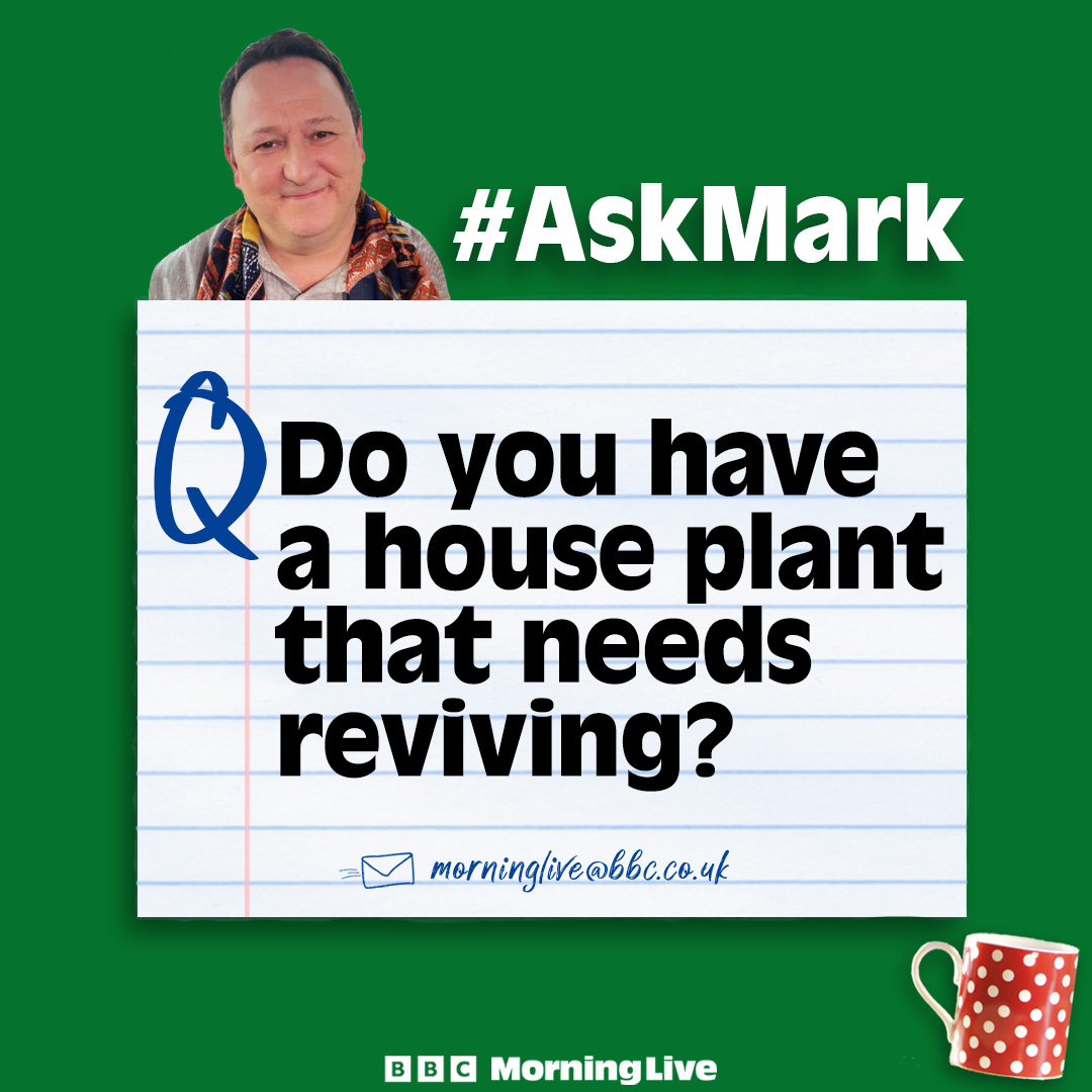 BBC Morning Live tweet media