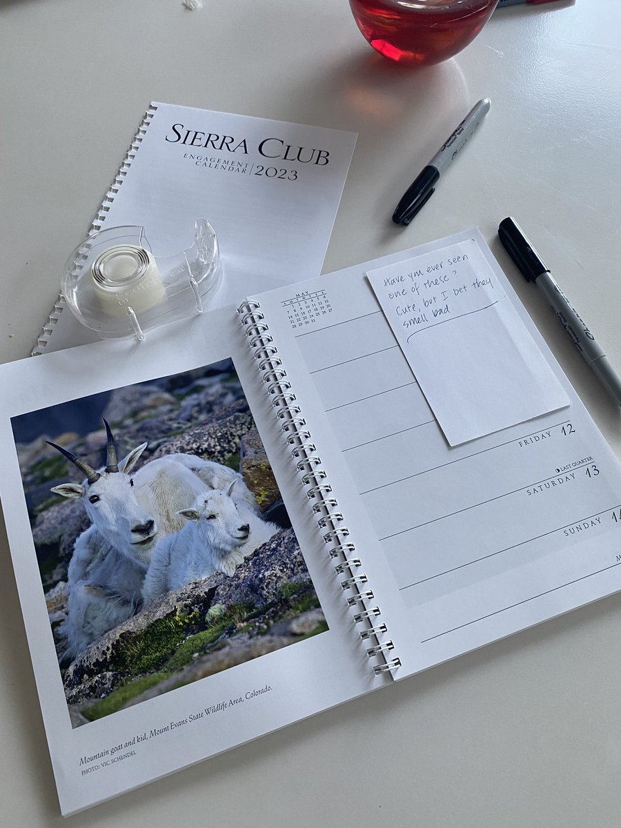 The photos were too beautiful to toss… so I made a little book of prompts for mom. “Sally’s book of beautiful discoveries.” #caregiving #dementia #wonderment #creativecare