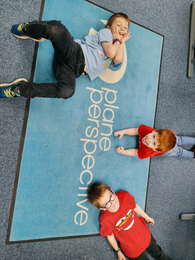 Plane Perspective tweet media