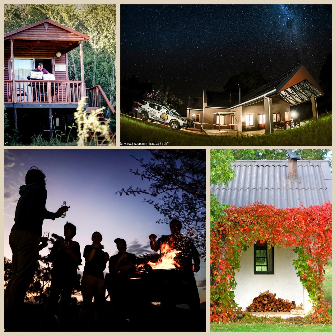 Need a break from your day-to-day routine?
Then come and enjoy a week or weekend at one of the (many) options across the Conservancy! 🏡⛺🚙

For more information and to book follow the link to our website: ow.ly/Zj4f50MNPFV 

#weekend #familytime #camping  #forest #rivers