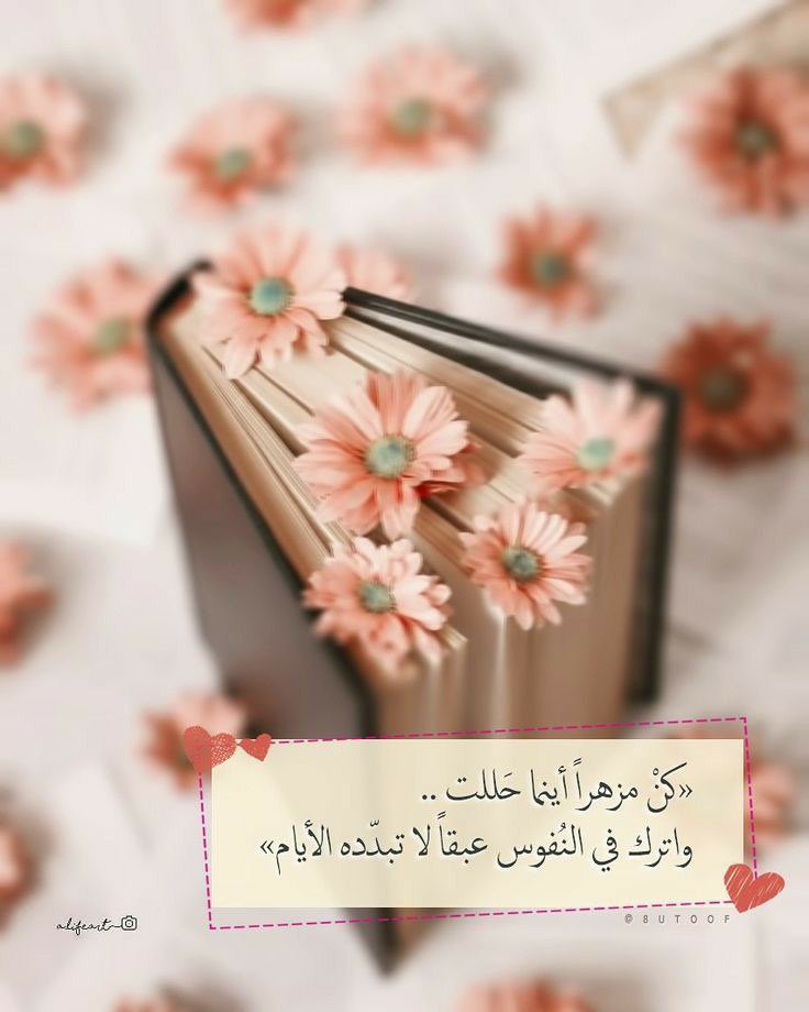 hameala's tweet image. &quot;الكرم ليس الجُود 
بالمال فحَسب، 
بل هُناك كرم النفس 
الذي يحملها أن تكون 
رَحبة باتّساع السماء، 
فلا تُضَيِّق واسِعًا، 
ولا تُعَسِّر يسيرًا، 
ولا تُوَعِّر دَربًا سَهلاً، 
ولا تشحّ بطِيب أخلاقها، 
تشعر بأنّها مِفتاحٌ للخير 
والبركة والانشراح، 
وهذا من أسمَى صور الكرم.&quot;