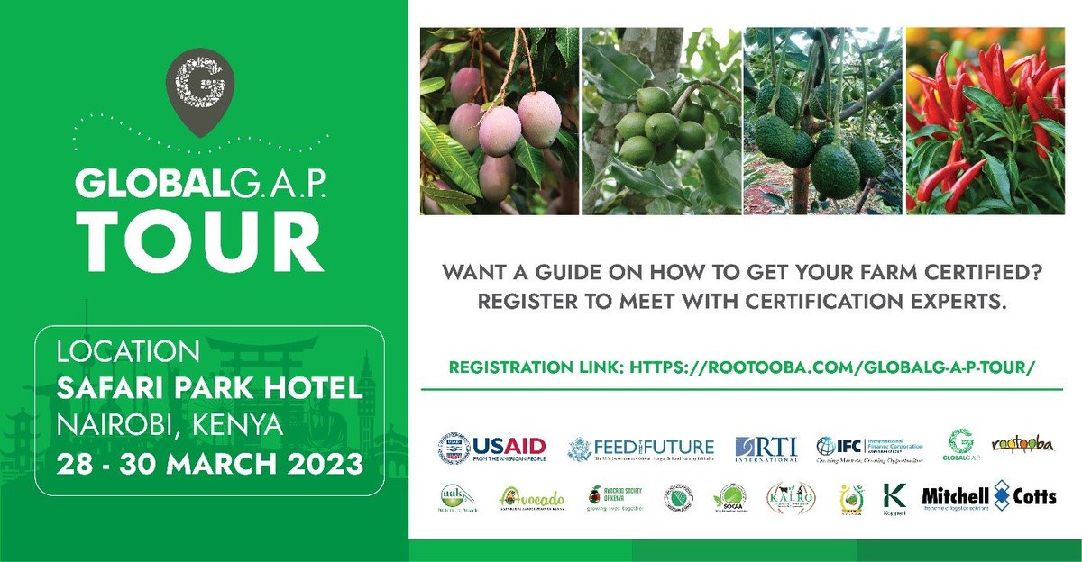 Rootooba tweet media