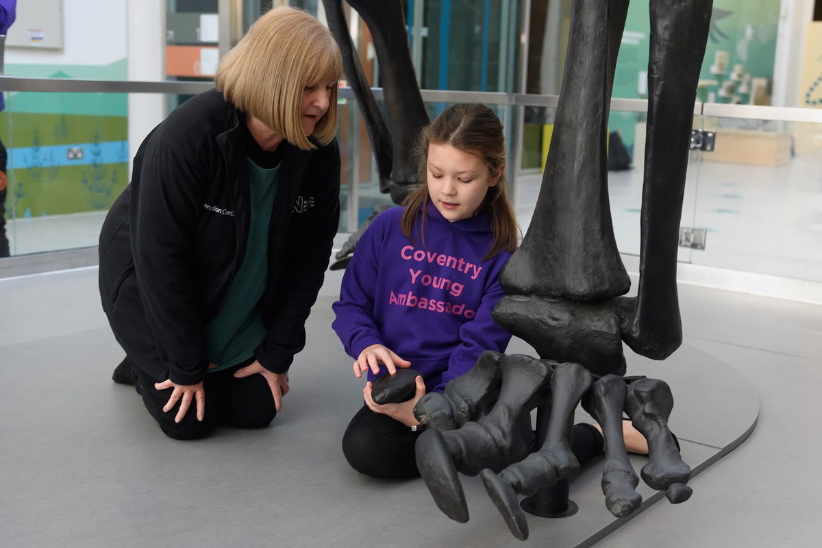 Herbert Art Gallery & Museum tweet media