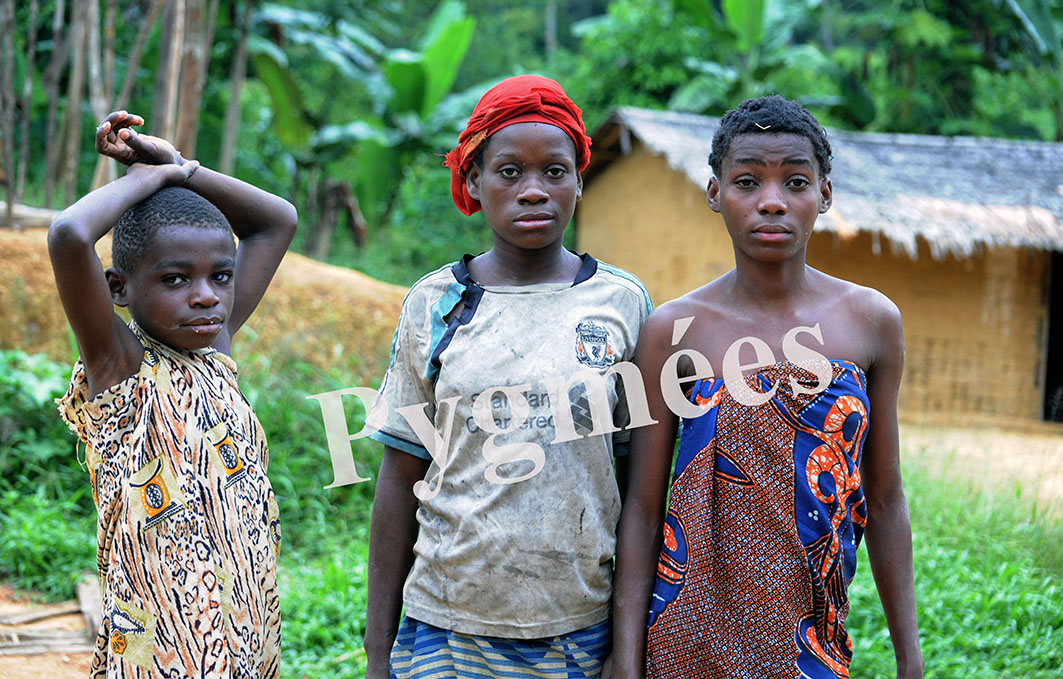 L’AFRIQUE N’EST PAS UN PAYS, MAIS UN CONTINENT aux multiples visages. Vous avez un projet éditorial ou créatif sur les Africains #Afrikimages Agency, vous fait découvrir les différents types de #visages des Africains sur son site: afrikimages.com/photo/category… #femmes #africaines