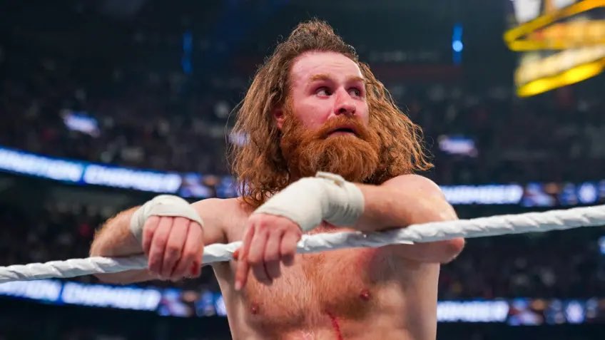 Mr__Iozzo's tweet photo. It was your night, you deserved it! 
Unfortunately you don't have a relevant last name..

#SamiZayn #WWE #WWEChamber #WWEMontreal #EliminationChamber https://t.co/vNbrI9Ahgw