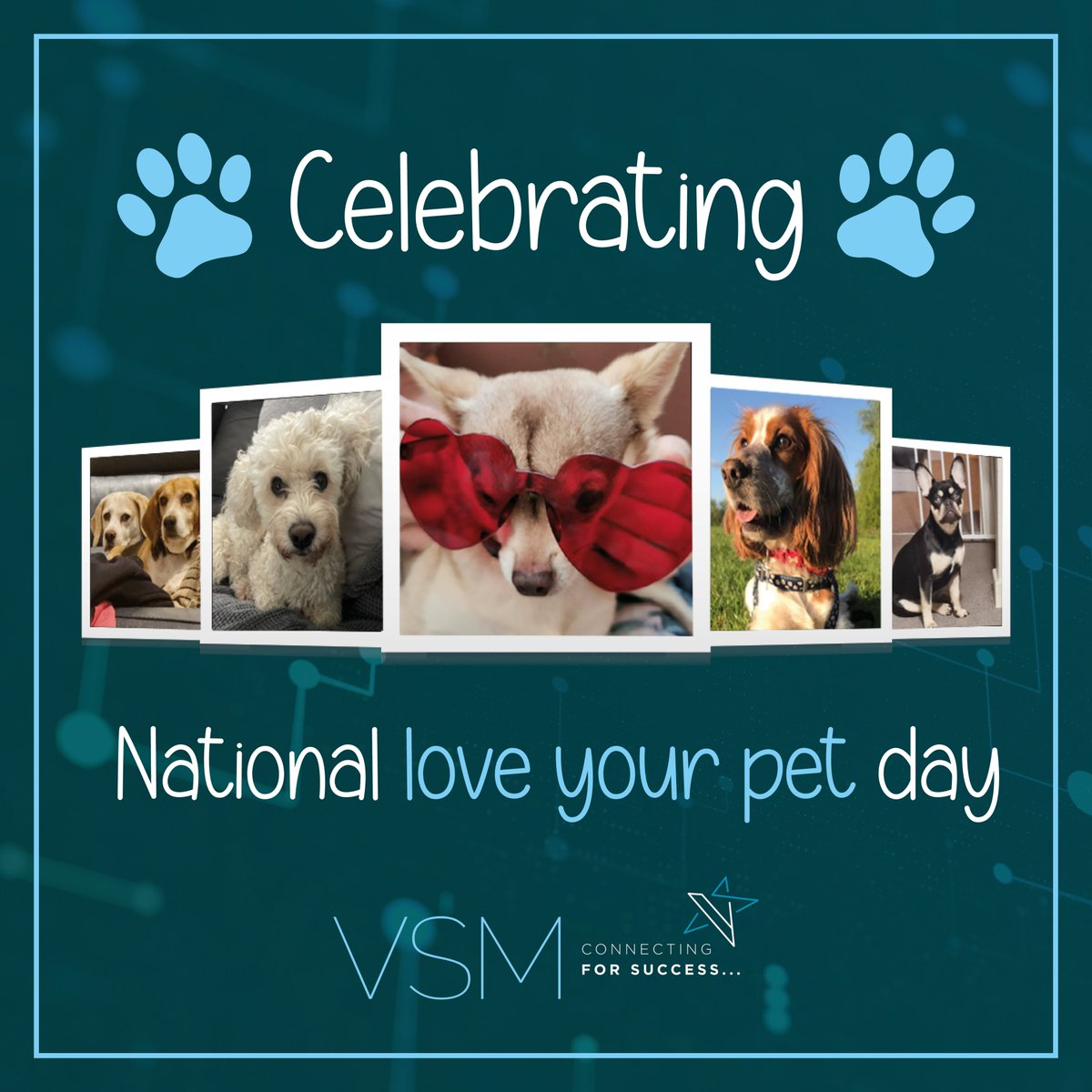VSM_Tweets's tweet photo. Here at VSM we love to show off our furry friends, so what better excuse than National 'Love Your Pet' Day!

Can you guess who's dog is who's from the team?

#LoveYourPetDay #VSMMarketing https://t.co/5icgVrZ8OP