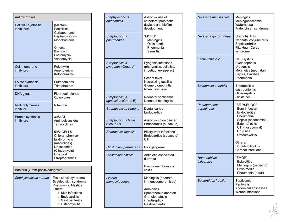 KimMD2023's tweet image. 🧫 [PLE Micro Quick Review] 🧫

Here’s a concise/easy-to-use micro guide! 

CLAIMING IT!! We got this! Happy aral! 🦠📑