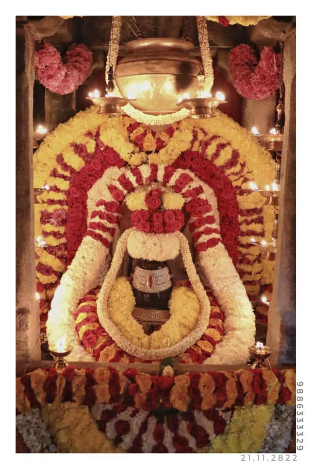 ManjuGundappa's tweet photo. ಕಾಡು ಮಲ್ಲೇಶ್ವರ ಬ್ರಹ್ಮ ರಥೋತ್ಸವ https://t.co/3p4cqG4lTJ