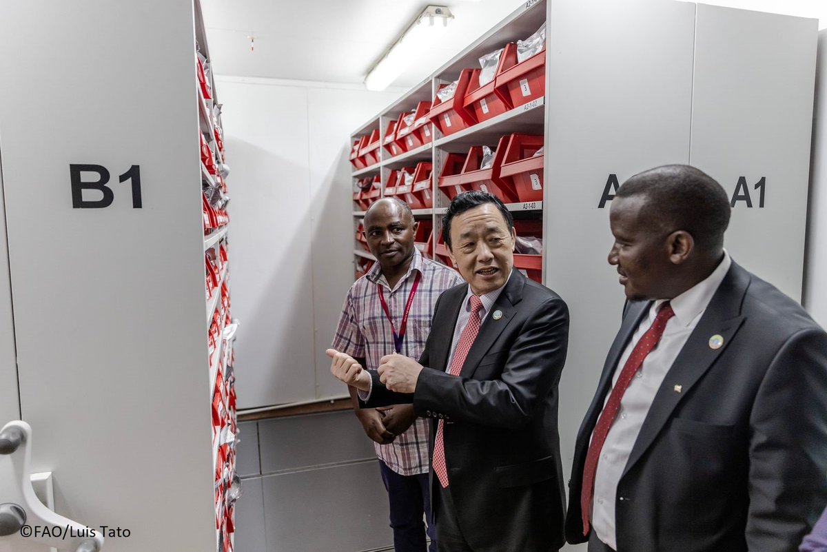 FAODG's tweet photo. Great visits to @ICRAF &amp; @ILRI. Leveraging science, innovation &amp; holistic design can help us transform our agrifood systems. Sharing the know-how on agroforestry &amp; sustainable livestock management between Members can help us improve smallholder farmers' resilience &amp; livelihoods. https://t.co/qa1Gc4a3qm