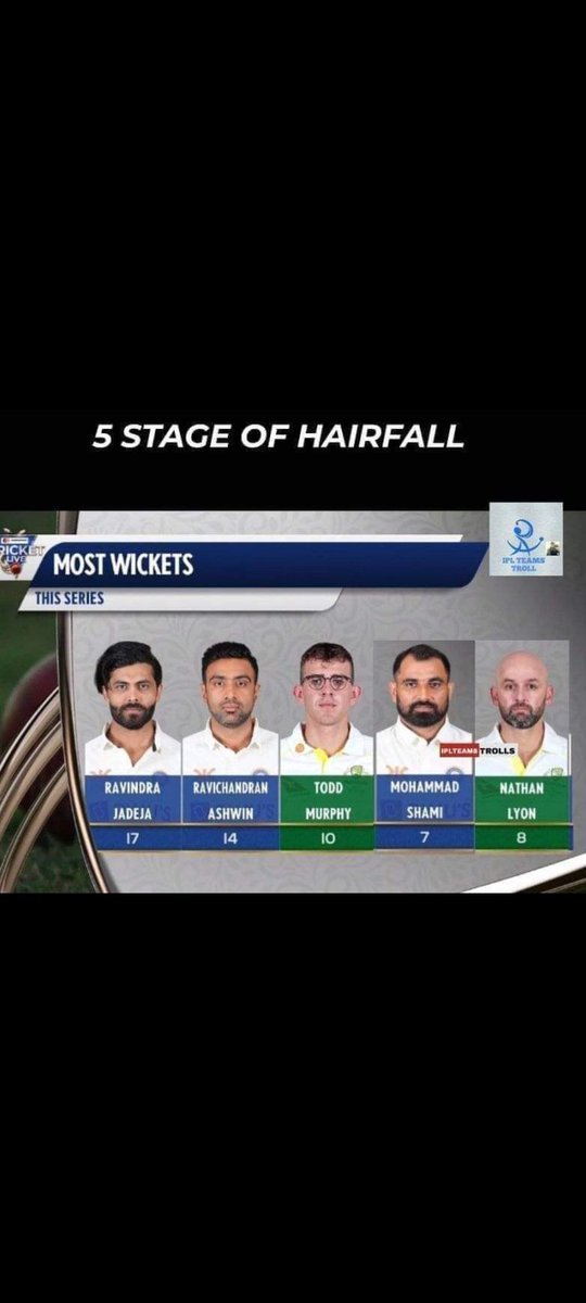 5 stages of hairfall
#INDvsAUSTest
