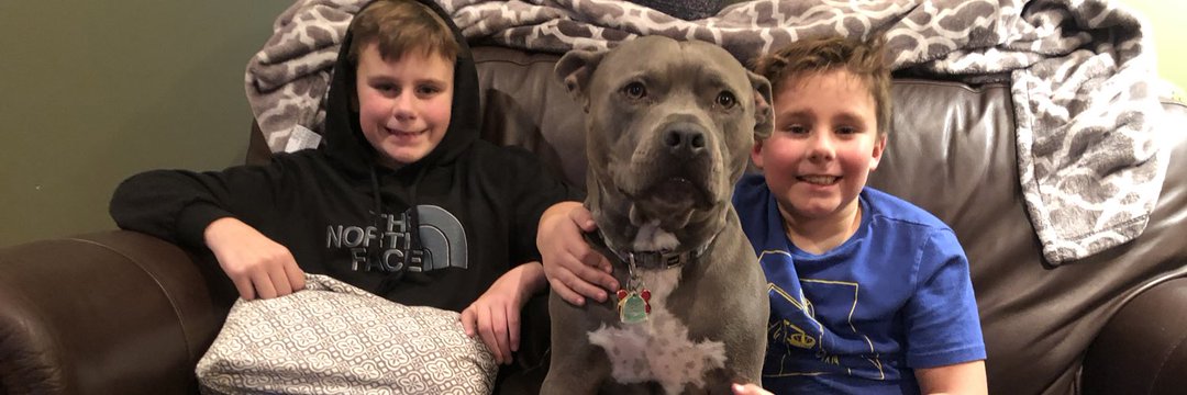 Curry-bunchanumbers tweet media