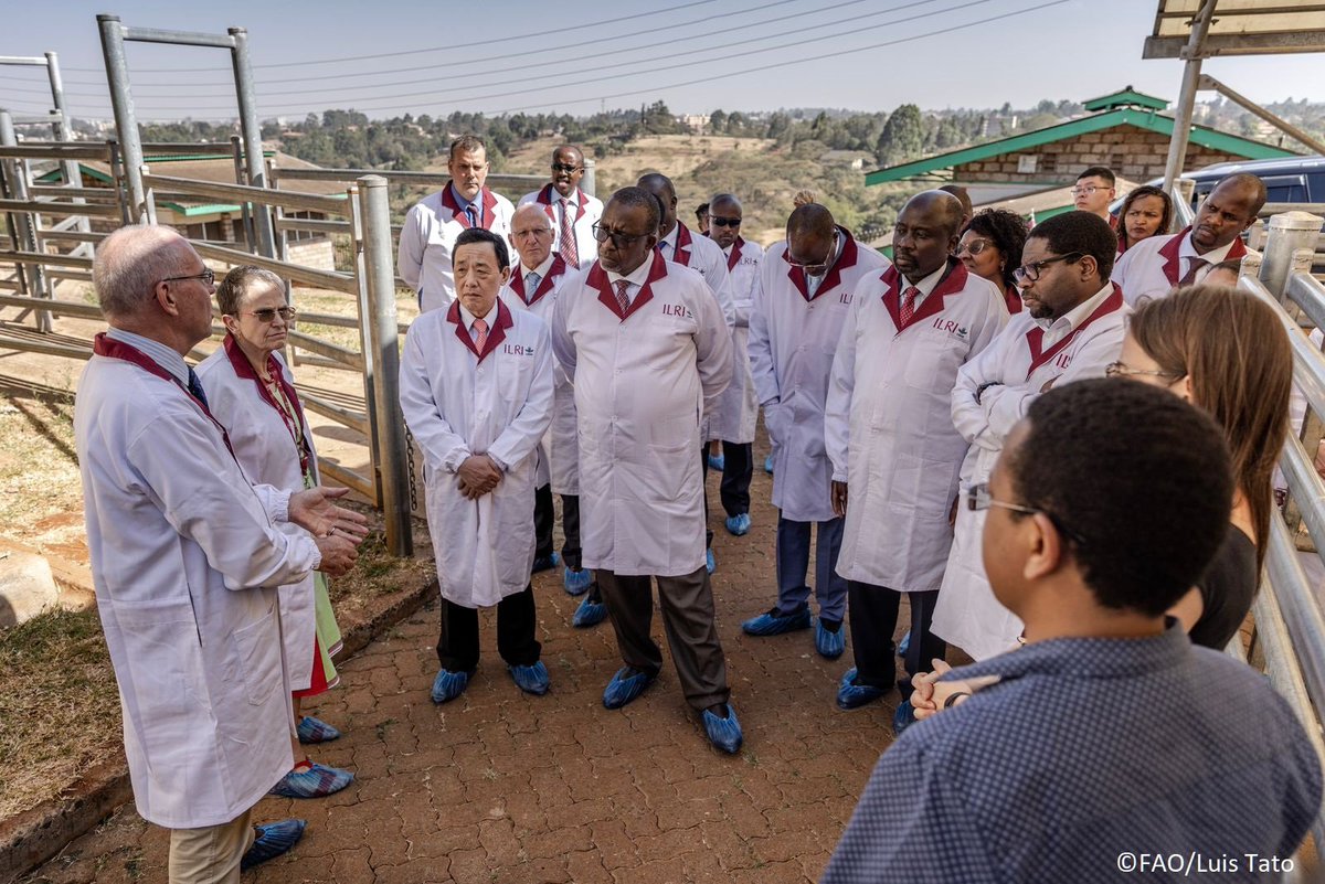 FAODG's tweet photo. Great visits to @ICRAF &amp; @ILRI. Leveraging science, innovation &amp; holistic design can help us transform our agrifood systems. Sharing the know-how on agroforestry &amp; sustainable livestock management between Members can help us improve smallholder farmers' resilience &amp; livelihoods. https://t.co/qa1Gc4a3qm