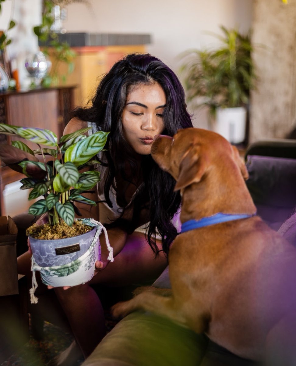 livelyroot's tweet photo. We ๐ our furry family members ๐พ ๐ชด Today is #LOVEYOURPETDAY make sure to shop our large collection of pet-friendly plants to keep your furry family members safe from nibbling toxic plants #livelyroot https://t.co/MW2YMz60uO