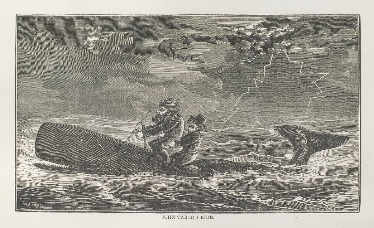 OpenEdEdinburgh's tweet photo. We missed #worldwhaleday2023 yesterday, which is a shame because it would have been a great opportunity to share this wonderful illustration from John Ross Browne's "Etchings of a whaling cruise", 1846. 
https://t.co/DwUOe0qCPF #CCBYNCSA #OER https://t.co/CdDOijxoNO