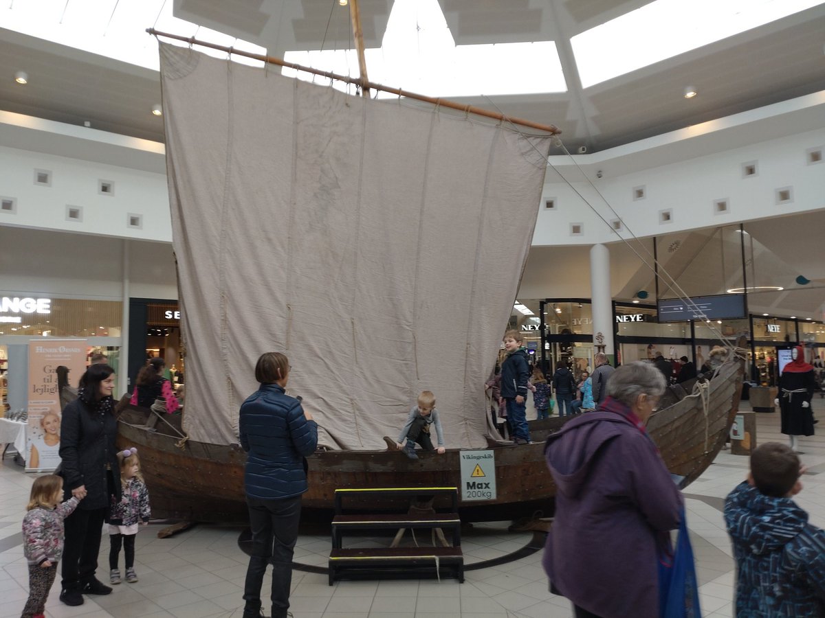 They built a vikingship