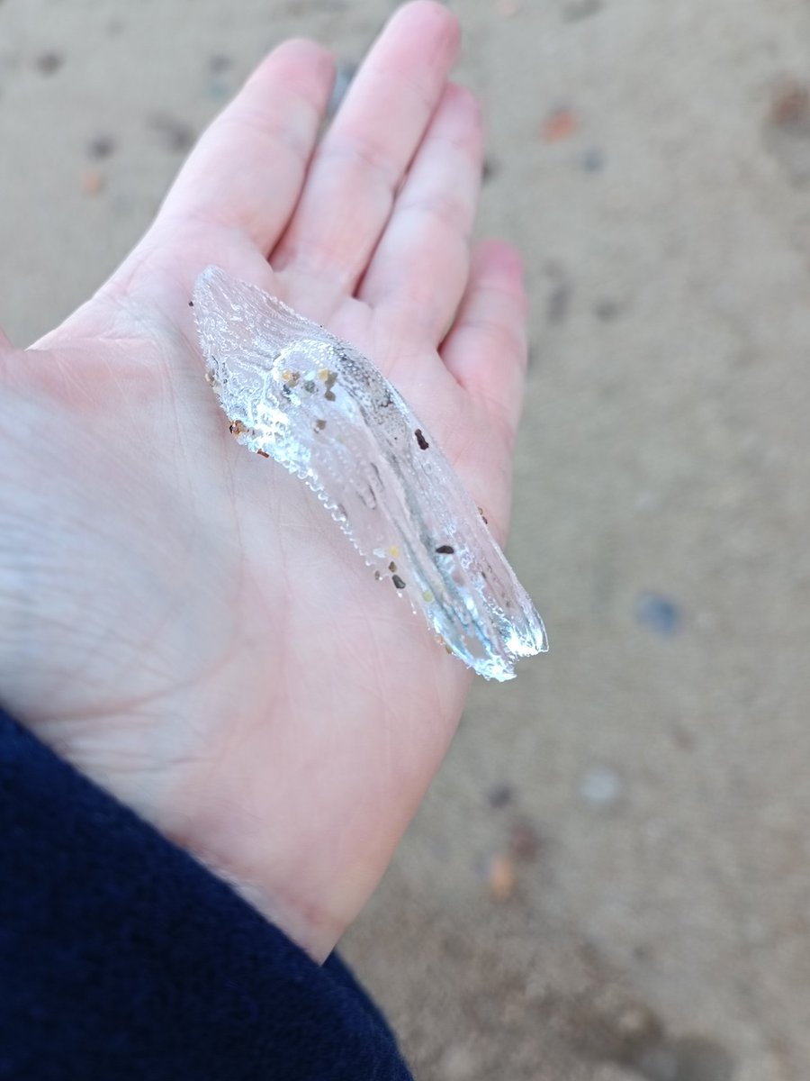 Emmanuelle Ducros tweet media