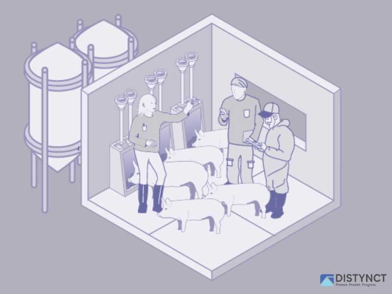 Distynct tweet media