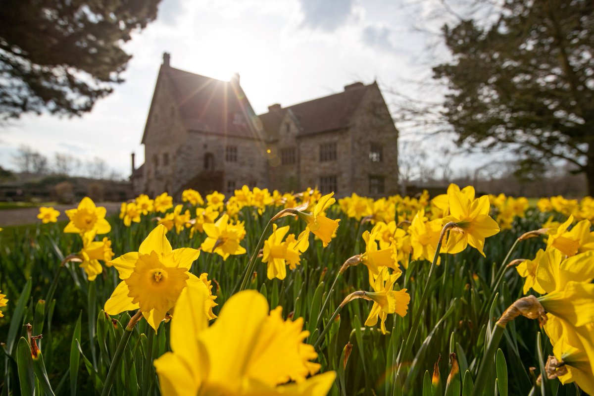 Excursionsshow's tweet photo. Our latest South East England groups newsletter is out! Glorious Gardens, providing inspirational ideas for places to visit. Where will you visit next?
https://t.co/S1UiscR8gM
📸 @sussex_society | @parhaminsussex | @BedgeburyP | @LeonardsleeG
#grouptravel #groupfriendly https://t.co/C6vKYP94UQ