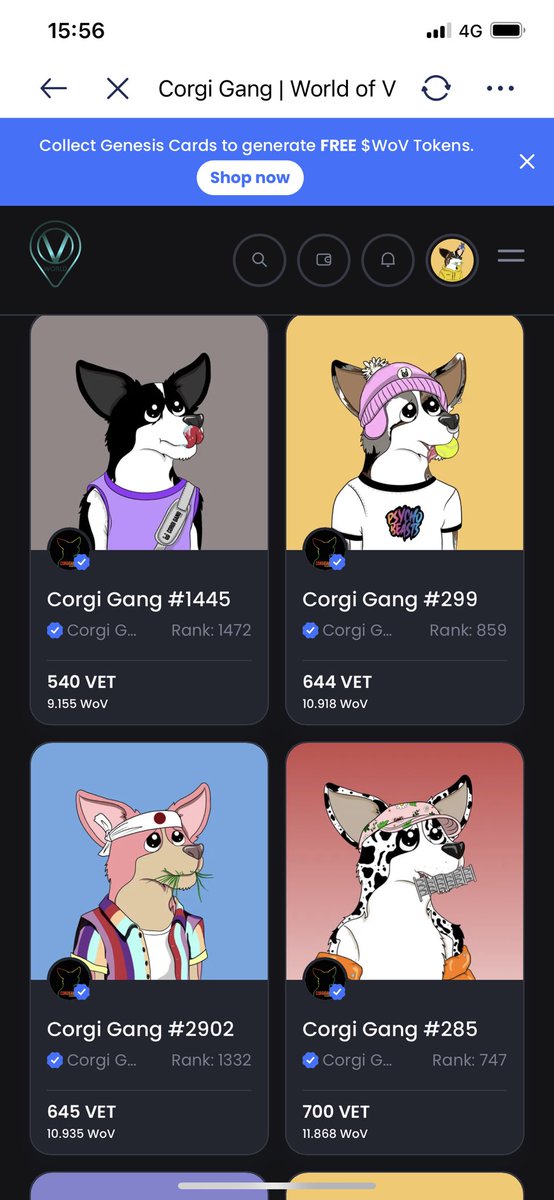 Only 34 @CorgiGang NFTs for sale 👀

5 alpha = 1 Rebel Puppy Airdrop

Alphas are stakeable for 1 year!

Join us!