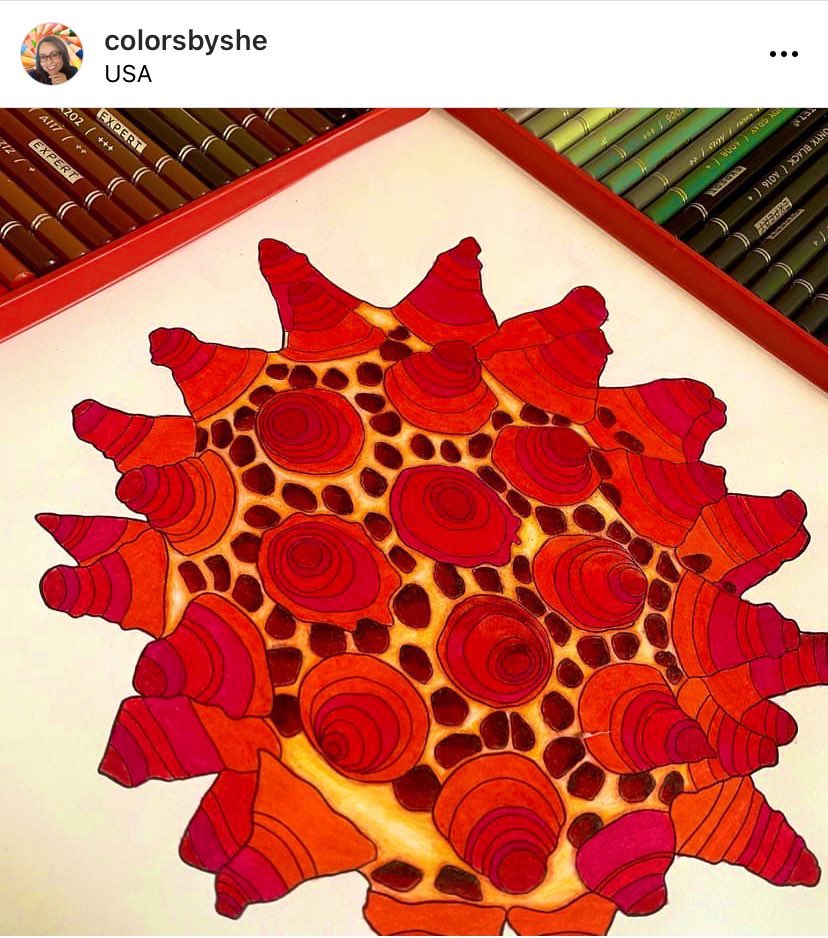 jvcdelaney's tweet photo. #Tardigrade eggs coloured by colorsbyshe in the US. #MicroMarvels #SciArt #Colouring #coloring #scienceart #Scicomm https://t.co/NDu3zHGaHJ