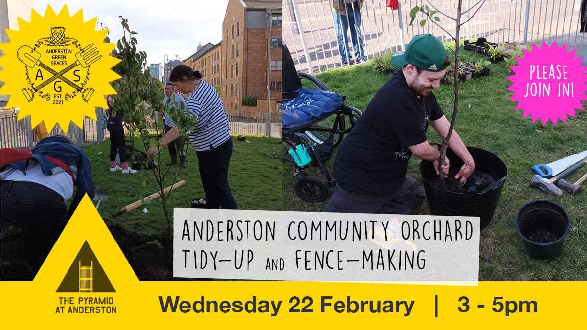 Community Orchard Tidy-Up & Fence-Making
Wednesday 22 February 3.00pm-5.00pm
Join us to tend to the new fruit trees that have been planted in the small green space at the corner of Elderslie St and William St.
#anderston #peoplemakeglasgow #communityorchard #urbangreenspaces