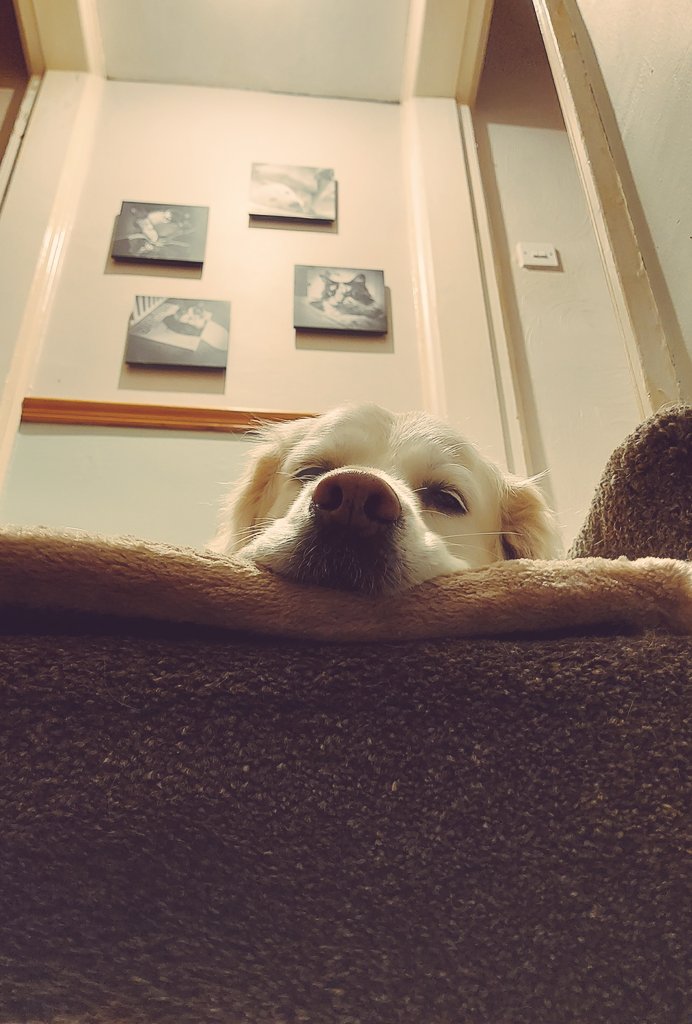 montybuzz's tweet photo. @JohnLewisRetail Um, hello... https://t.co/S5z7QdVeTk
