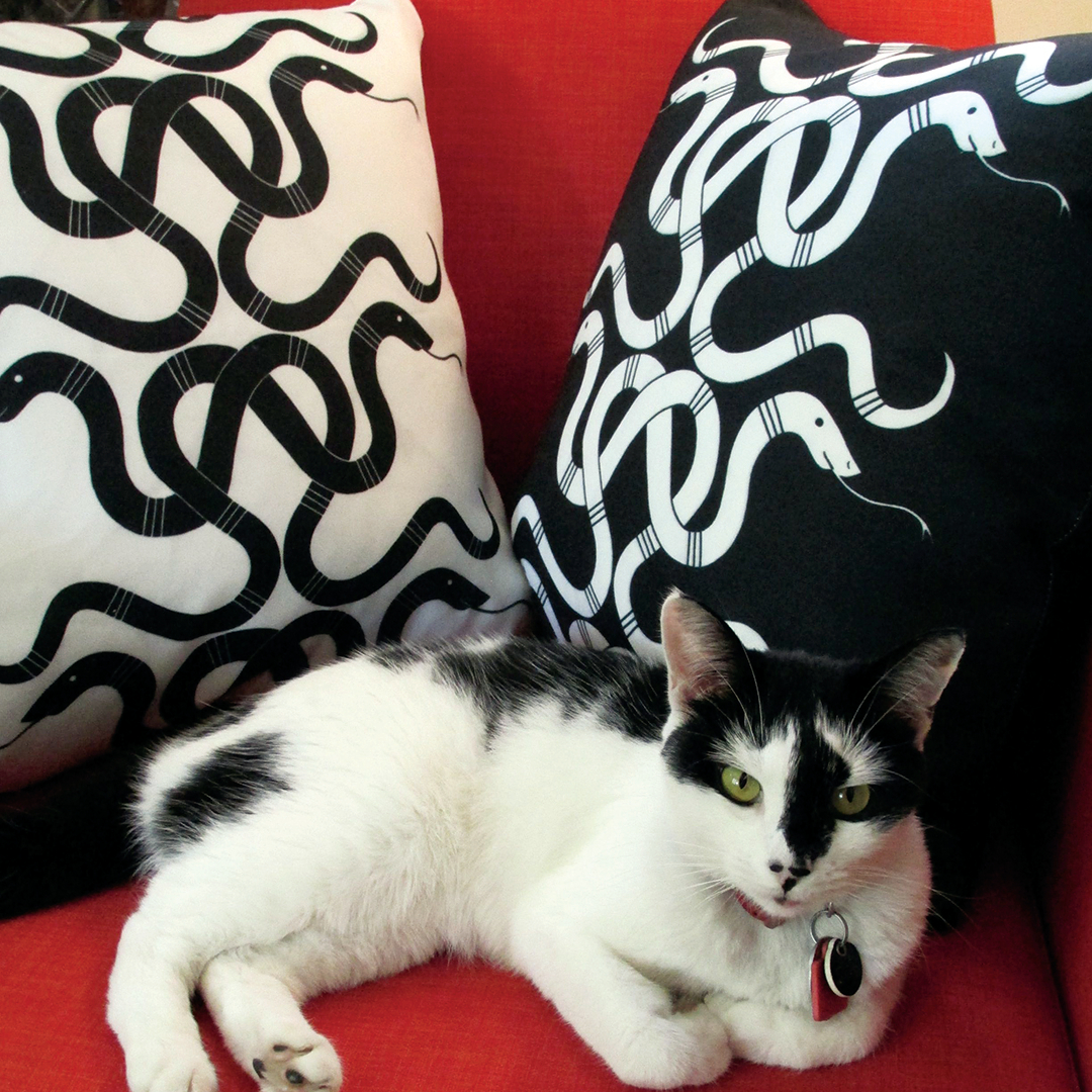 PbodyDsign's tweet photo. Apparently it's #LoveYourPetDay. Isn't that everyday? Here's #ShelbyCat with our SnakeWare pillows ($65 ea.) Each comes with a feather/down insert and are 17 inches.
#snakes
#snakeart
#snakesinart
#sneakesdecor
#pillows
#snakepillows
#Baltimoreartists
#theBmorecreatives
#shopBalt https://t.co/QAgiTLxmKV