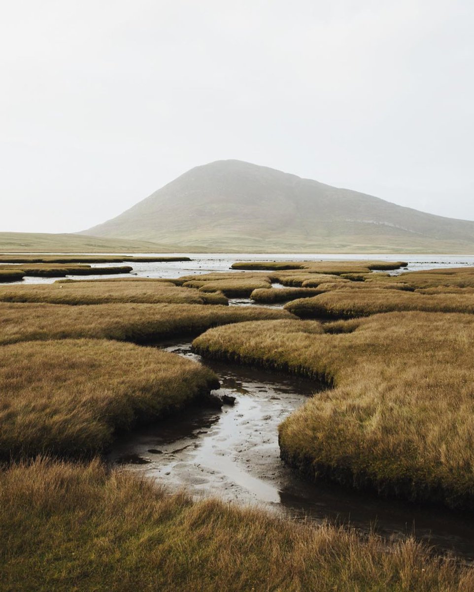 The art and serenity of salt marshes captured by @richardgaston.