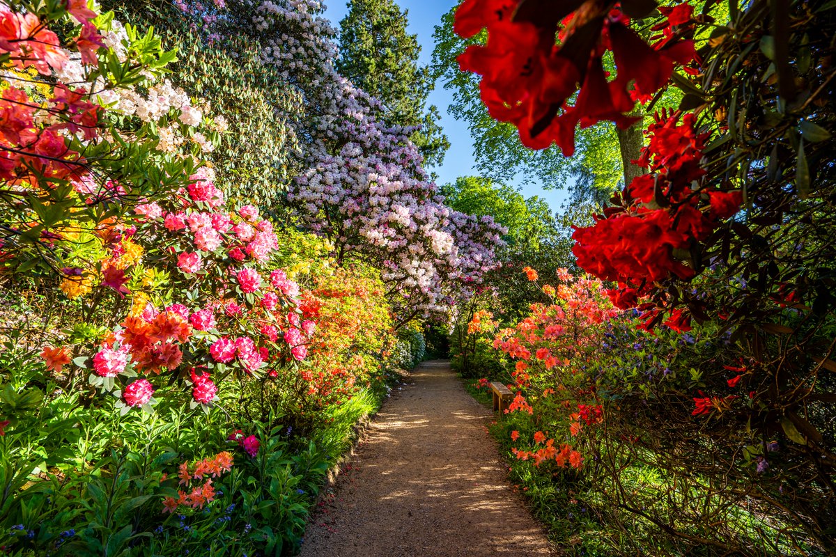 tourismseast's tweet photo. The latest South East England groups newsletter is out! Glorious Gardens, providing inspirational ideas for places to visit. Where will you visit next?
https://t.co/Hp8jdRQcZR
📸 @sussex_society | @parhaminsussex | @BedgeburyP | @LeonardsleeG
#grouptravel #groupfriendly https://t.co/LgPytp5Htq