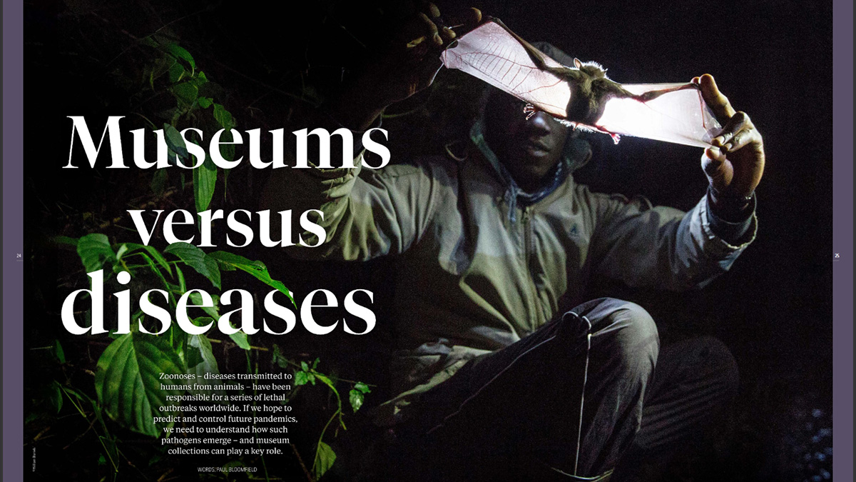 Did you know that the Museum has a magazine? It’s called Evolve and our next issue is out this week for Members to read. It looks at zoonoses (diseases that transmit from humans to animals) and how natural history collections help us understand disease 🦇

bit.ly/3IESSWA