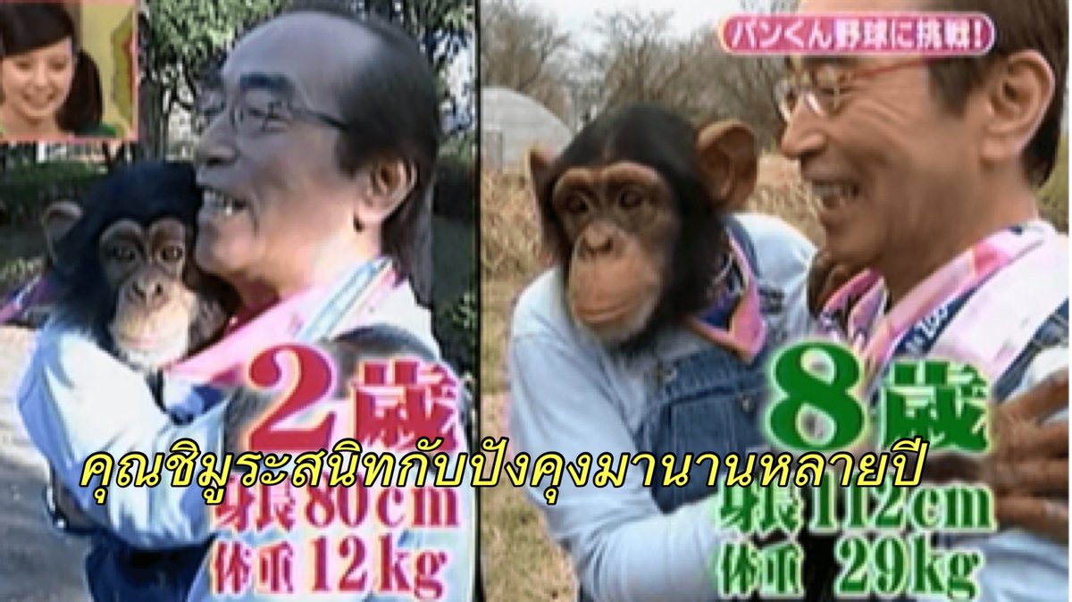 lolitascak3's tweet photo. ทางด้านพิธีกรอย่างคุณชิมูระที่สนิทกับปังคุงมากก็แวะมาหาปังคุงอยู่เรื่อยๆ เวลาเห็นหน้ากันก็เหมือนปังคุงแววตาจะดูสดใสขึ้น ดีใจเวลาคุณชิมูระมาหา แต่แล้วในปี 2020 คุณชิมูระก็เสียชีวิตเพราะโควิด โดยที่ปังคุงไม่มี��างรู้ว่าเพื่อนตัวเองได้จากไปแล้ว https://t.co/OhEPOAEHJO