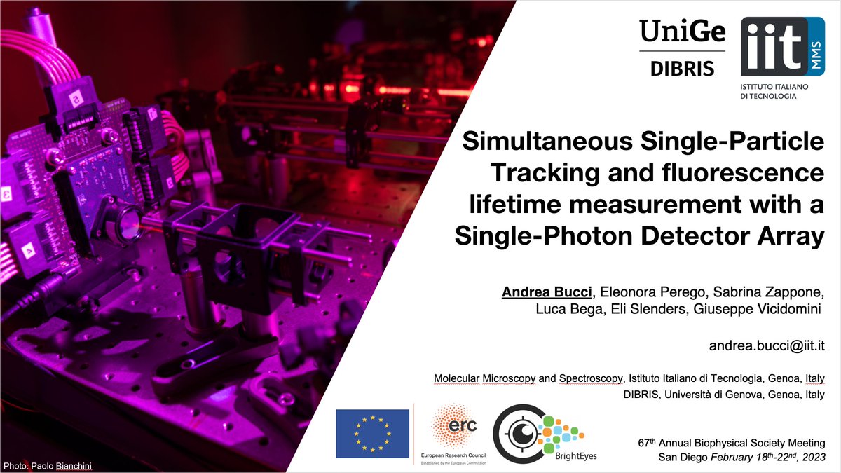 VicidominiLab's tweet photo. We have shown the benefits of #SPADarray-based confocal #microscopy for #imaging and #FCS. What about #singleparticletracking?
#BPS2023 talk from @andrea_bucci13 (2/20/2023, 9:45 AM, Room 6F, 750-Plat)
#BrightEye_ERC #singlemolecule @BiophysicalSoc @IITalk @ERC_Research https://t.co/7N2dLmL7fA