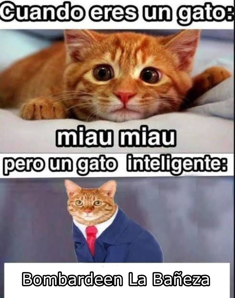 La Valderia Out Of Context tweet media