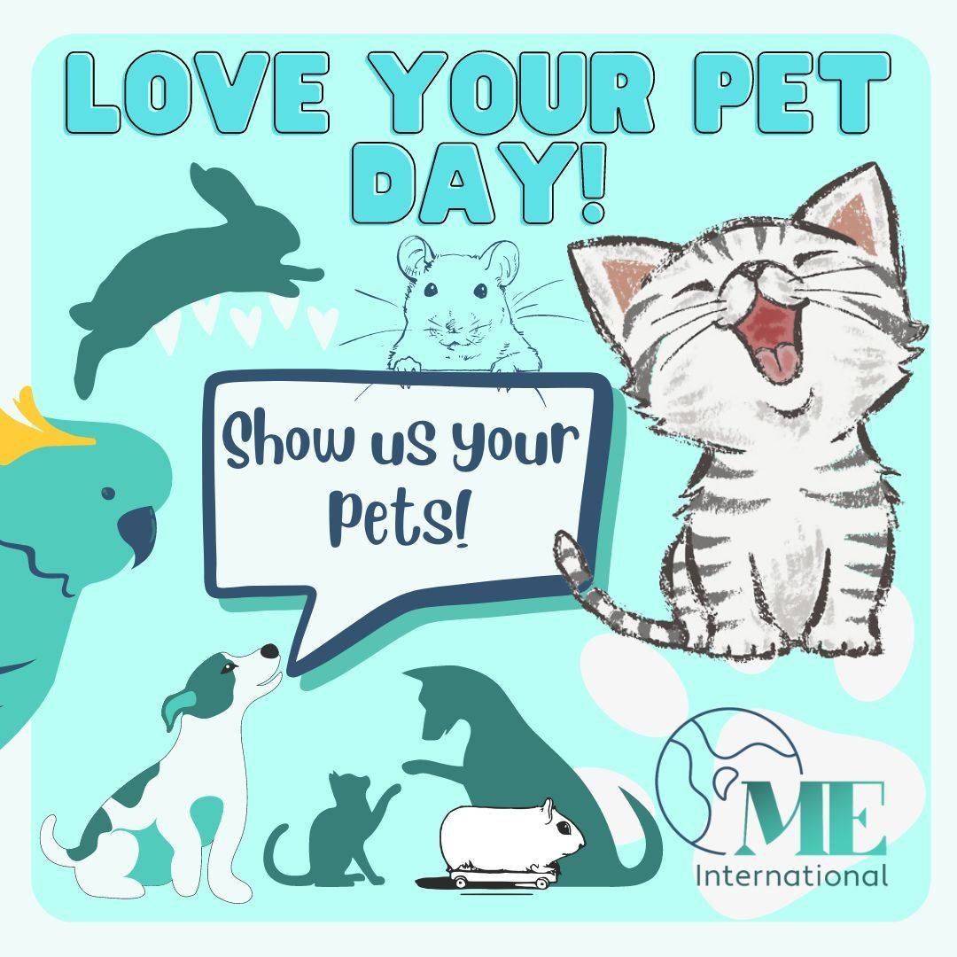 HackedByLow's tweet photo. It’s National Love your Pet Day, in a number of countries today.  A lot of us in the #MyalgicEncephalomyelitis community have pets in our families, keeping us company through bad times and good, always giving us support.

Show us your pet pics!
#MEI #ME #pwME #MEcommunity https://t.co/4dGltGdlUf
