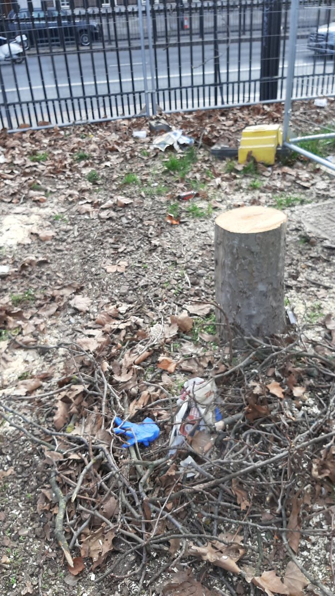 PhilBartonKBT's tweet photo. @TiCLme @holt_farm_oak @talklandscape @XR_BSE @ExtinctionR @GreenGymPenge @XRUK_Actions @Team4Nature @nspugh Have you been to Euston Station today? Murder carried out in plane sight... https://t.co/DmiySVYYim