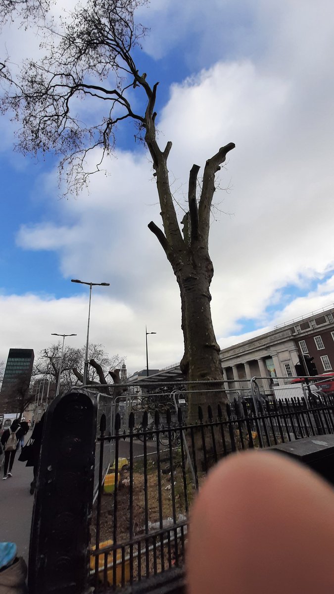 PhilBartonKBT's tweet photo. @TiCLme @holt_farm_oak @talklandscape @XR_BSE @ExtinctionR @GreenGymPenge @XRUK_Actions @Team4Nature @nspugh Have you been to Euston Station today? Murder carried out in plane sight... https://t.co/DmiySVYYim