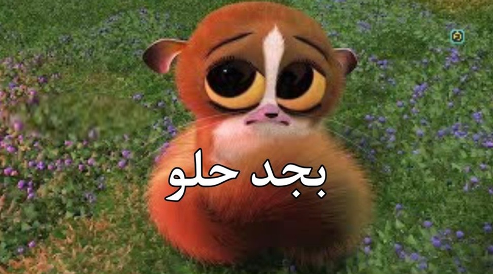 Menzmriize's tweet photo. باخد رأي حد ف حاجه وقالي عشروميت مره حلو 
انا ف المره العشروميه وواحد: https://t.co/nBzIqeI56s
