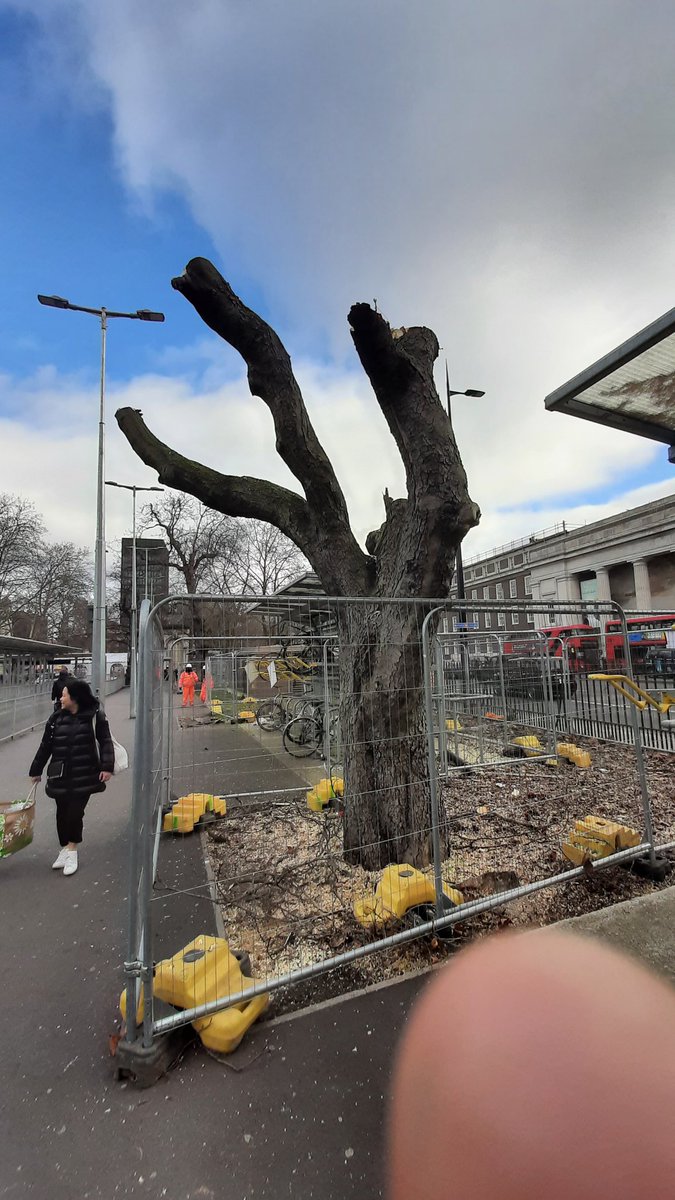 PhilBartonKBT's tweet photo. @TiCLme @holt_farm_oak @talklandscape @XR_BSE @ExtinctionR @GreenGymPenge @XRUK_Actions @Team4Nature @nspugh Have you been to Euston Station today? Murder carried out in plane sight... https://t.co/DmiySVYYim