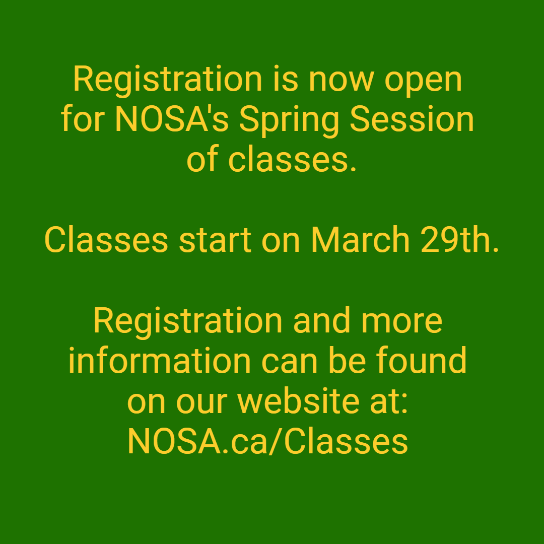 NOSA Dog Training Club (@NOSA_Dog) / Posts / X