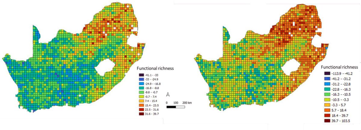 Our new paper exploring the relationship between #culturalecosystemservices and ecological #functions associated with birds is out now in #ecosystemservices!
<a href="/gscumming/">Graeme Cumming</a> @CoralCoE

authors.elsevier.com/a/1gdP07szSJAj…
