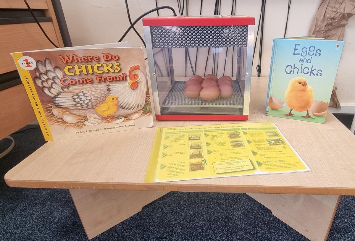 St Marys Catholic Primary School tweet media