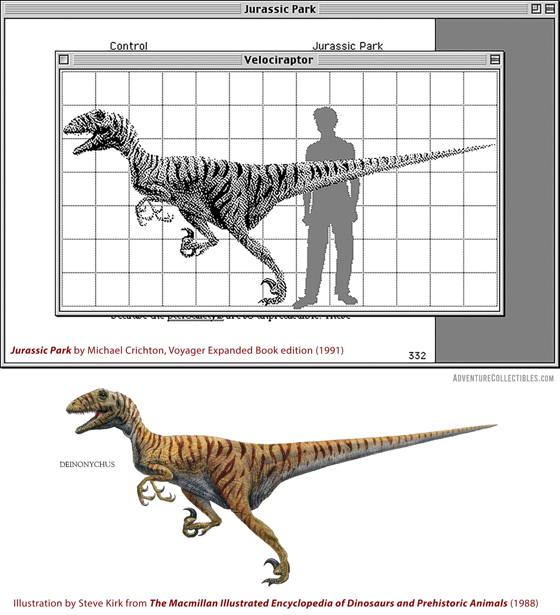 Did you know Deinonychus was originally in the Velociraptor genus before  being reclassified (V.antirrhopus) but was hotly debated at the time the OG  Jurassic Park Novels were released? This is why the