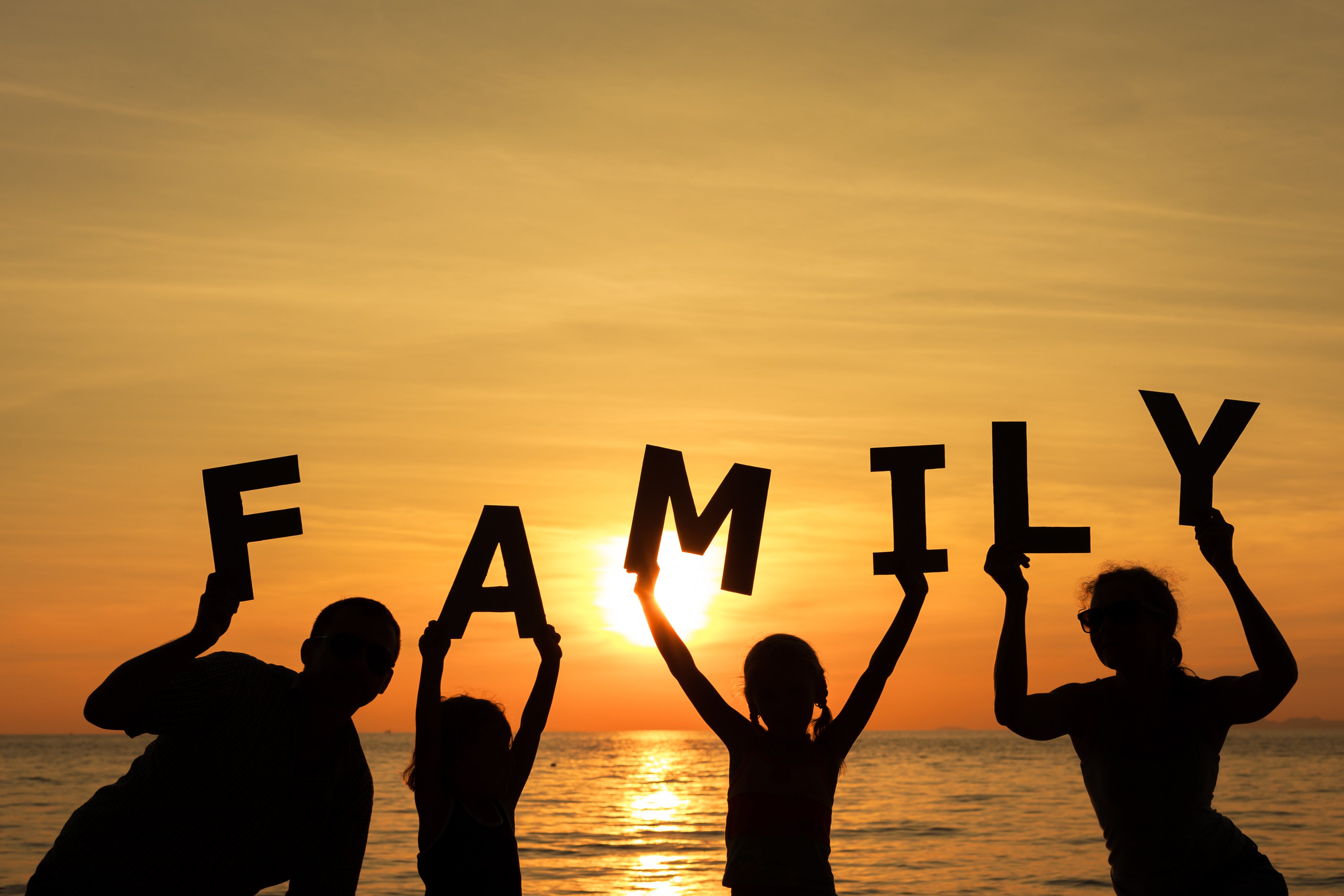 The Family