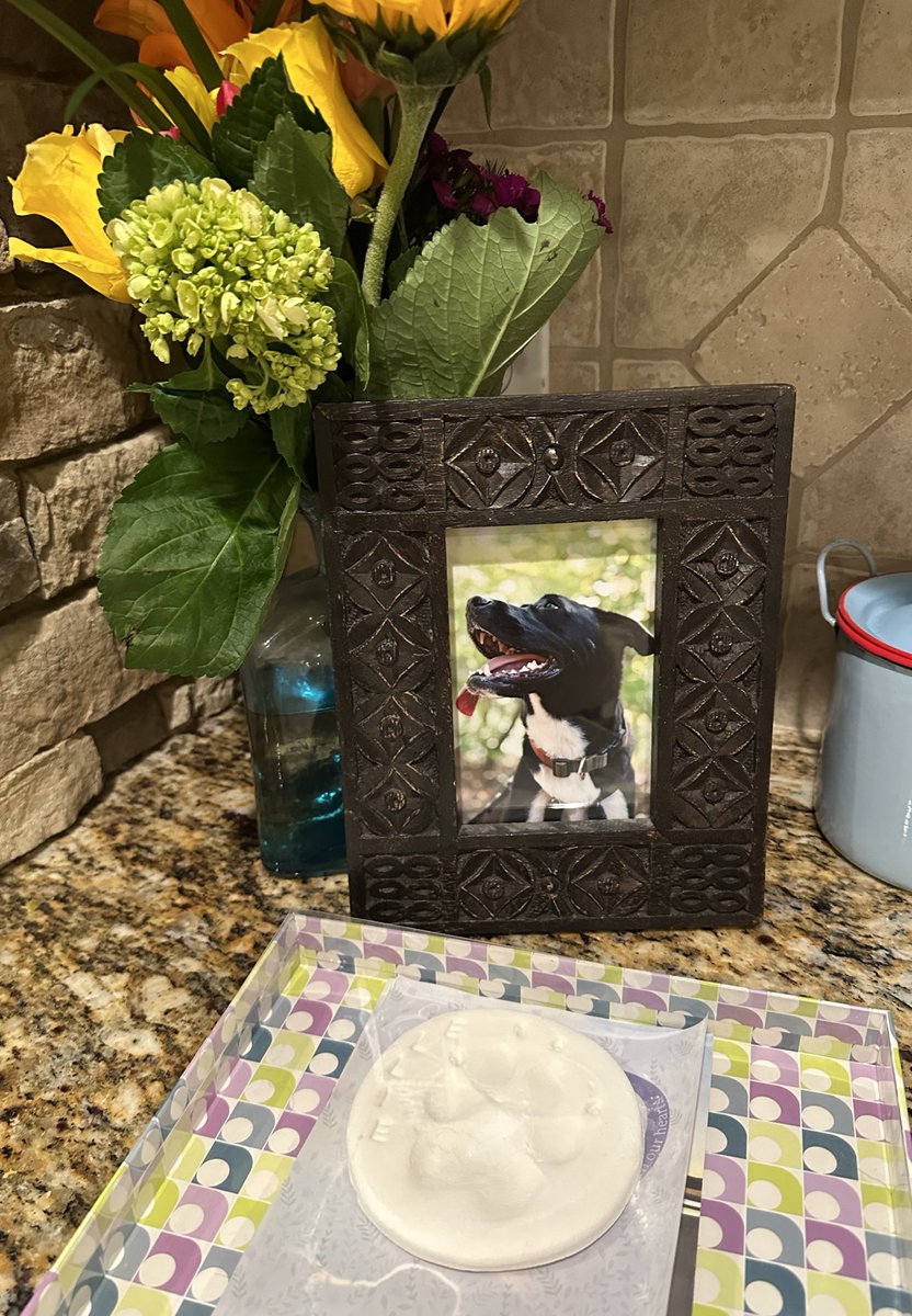 DR. ＶＩＪＩ　ＳＡＴＨＹ tweet media