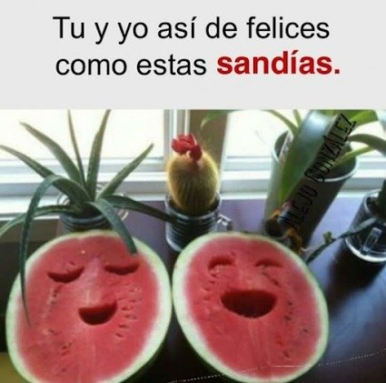 FlorOlanGarcia's tweet photo. ¿Te animas? #AmordeOtroMundo https://t.co/zP55KpCtIn