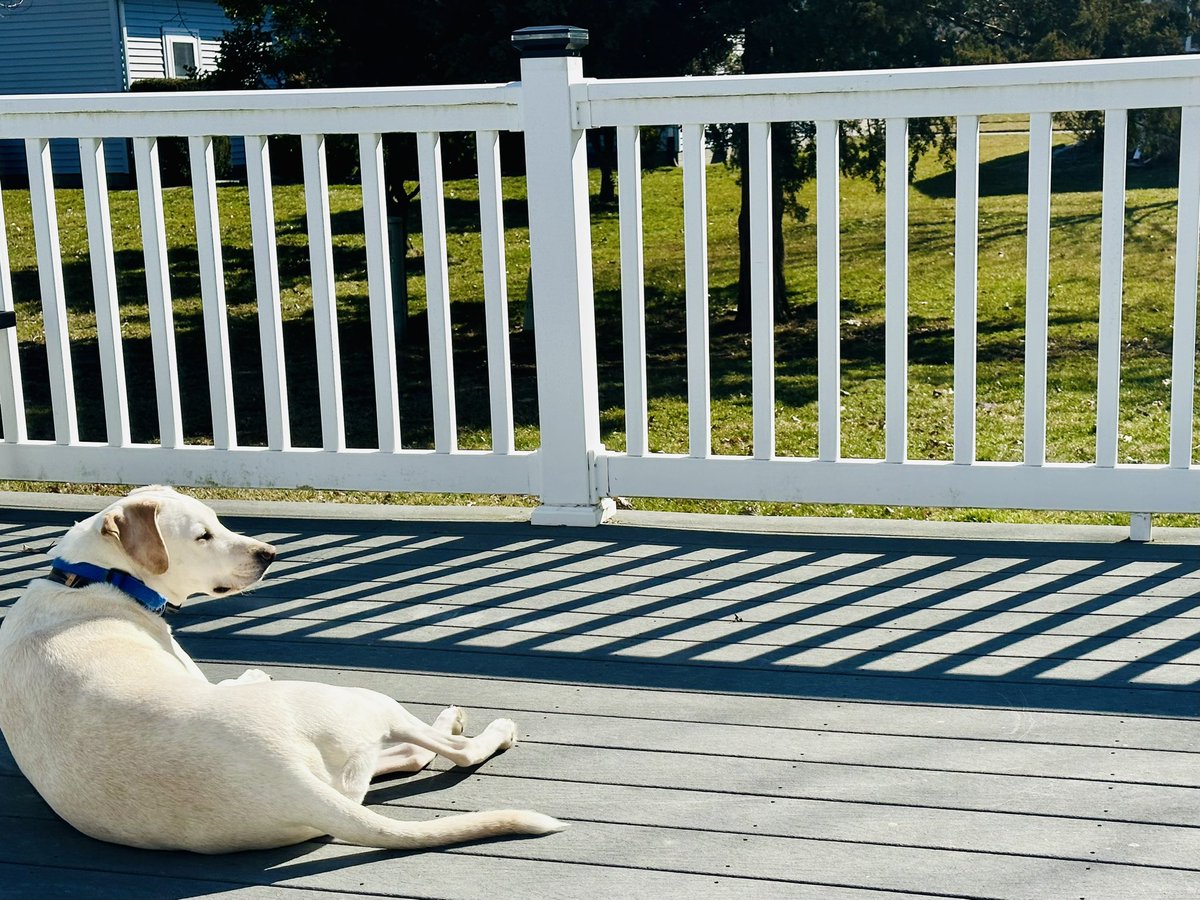 Day off…soaking up some vitamin D ☀️