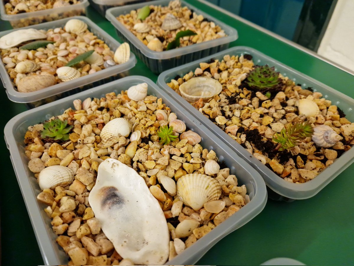 2nd Farningham & Eynsford Brownies (@2febrownies) on Twitter photo #WorldThinkingDay2023 The Brownies made zen gardens, designed their dream gardens AND made tissue paper sunflowers 🌻  What a busy evening!! <a href="/Guiding_LaSER/">Girlguiding London and South East England</a> <a href="/GGKnoleDivision/">Girlguiding Knole</a> #WorldThinkingDay2023 The Brownies made zen gardens, designed their dream gardens AND made tissue paper sunflowers 🌻  What a busy evening!! <a href="/Guiding_LaSER/">Girlguiding London and South East England</a> <a href="/GGKnoleDivision/">Girlguiding Knole</a>