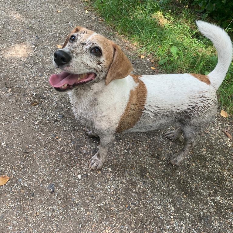 Wypy9's tweet image. Ik ken die plassen ..#HuntedVIPS