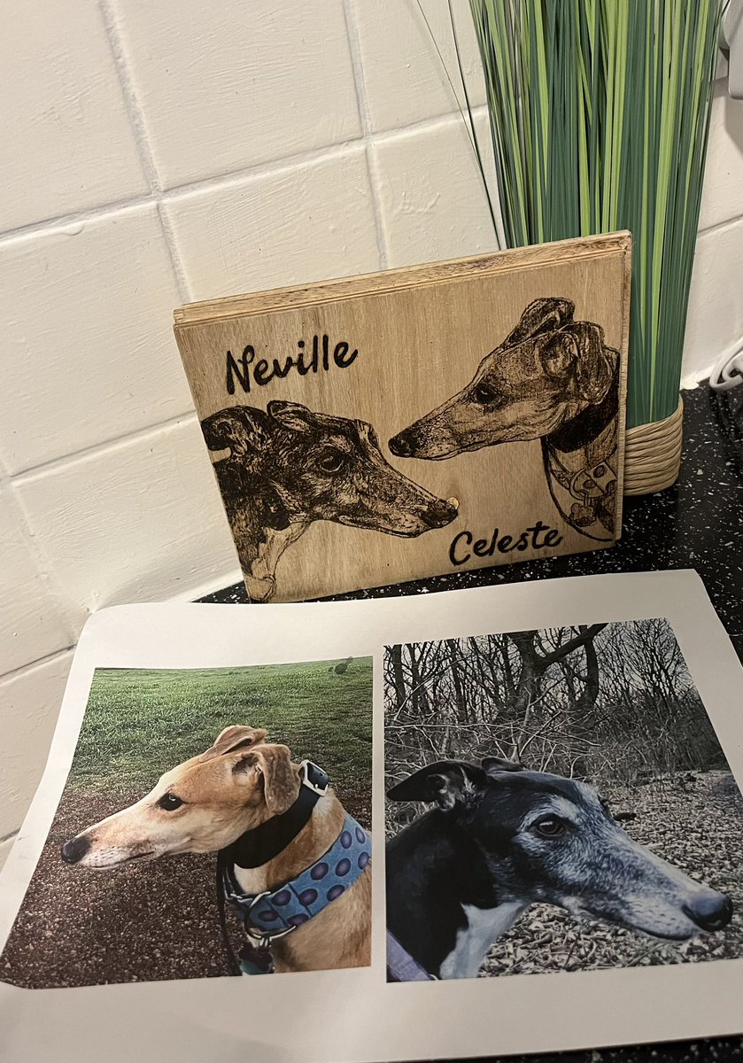 sally_ann4's tweet photo. Back doing some of my wood burning today, 2 beautiful greyhounds 😍 🐕 #pyography https://t.co/W6k3oHr8ZC