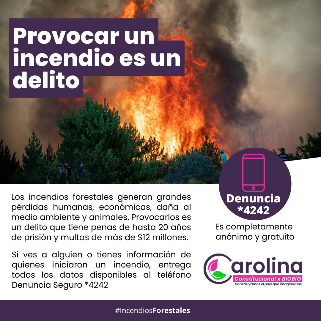 cmartinezebner's tweet photo. Lamentablemente los incendios forestales siguen activos en distintos puntos de la Región del Biobío. 

Evita transitar por la Ruta de La Madera, cercano a Coronel. A esta hora combaten unidades de emergencia.

Si tienes información sobre el inicio de un incendio denuncia. https://t.co/BJoUGIJkbQ